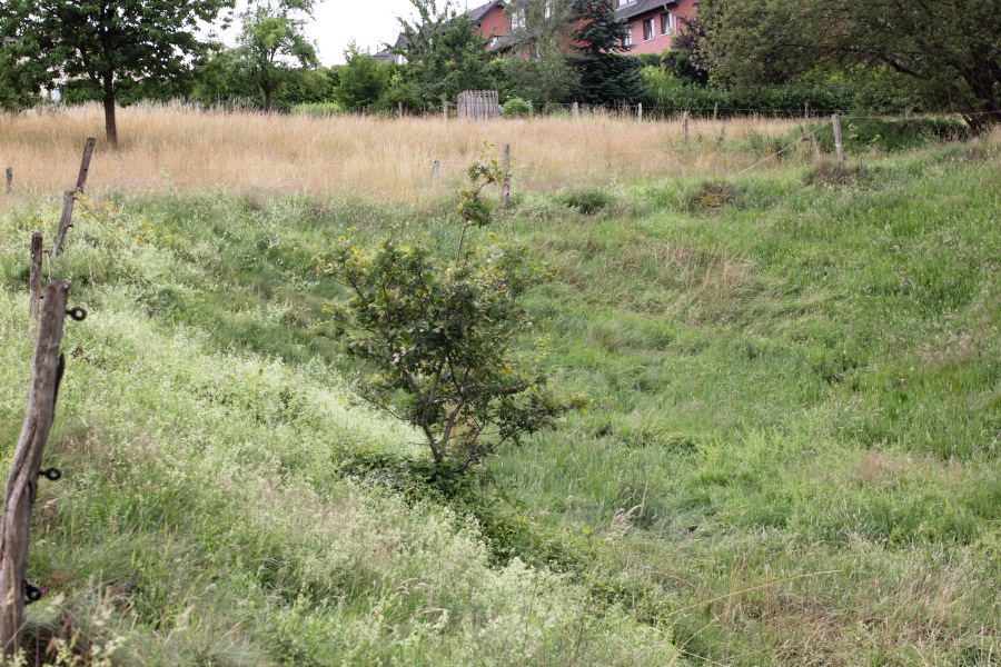 Lokation: Deutschland | Nordrhein-Westfalen | Windeck | Roth Kategorien: Haus, Datum: 17.07.2011