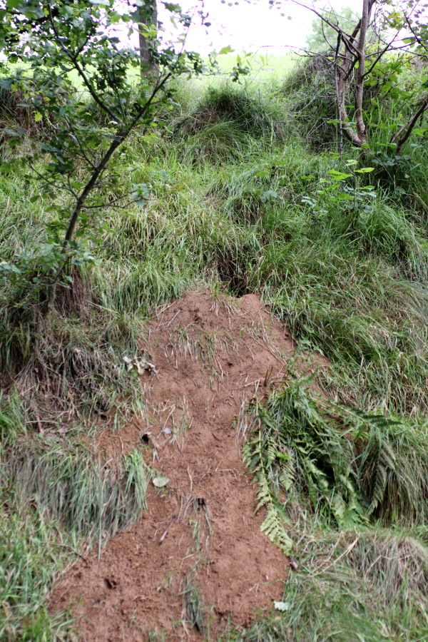 Lokation: Deutschland | Nordrhein-Westfalen | Windeck | Roth Kategorien: Haus, Datum: 17.07.2011