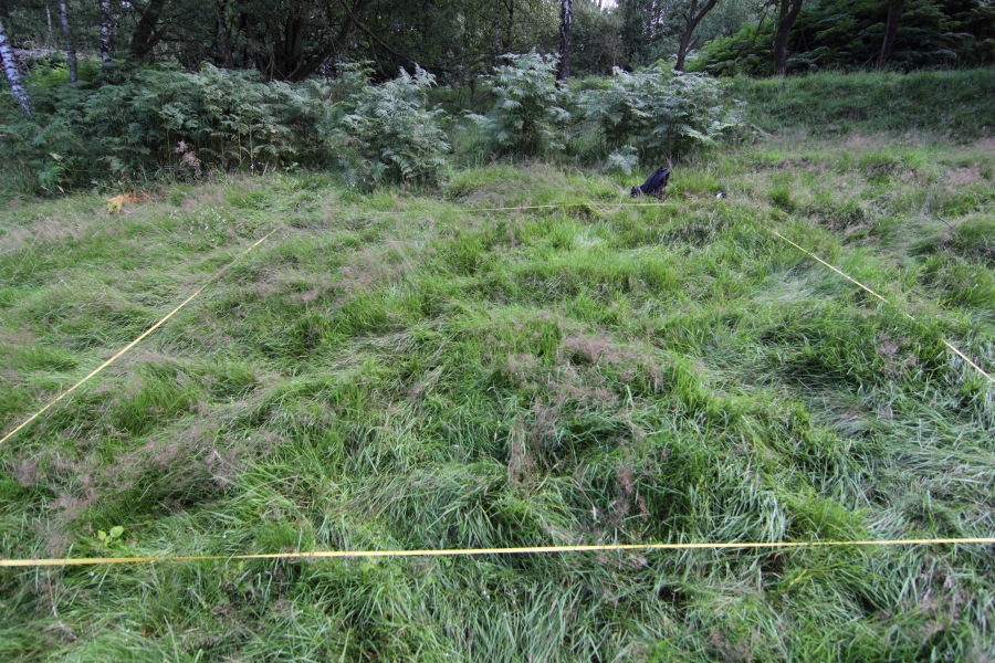 Lokation: Deutschland | Nordrhein-Westfalen | Bergisch Gladbach | Steinacker Kategorien: Dauerquadrat, Datum: 15.08.2011