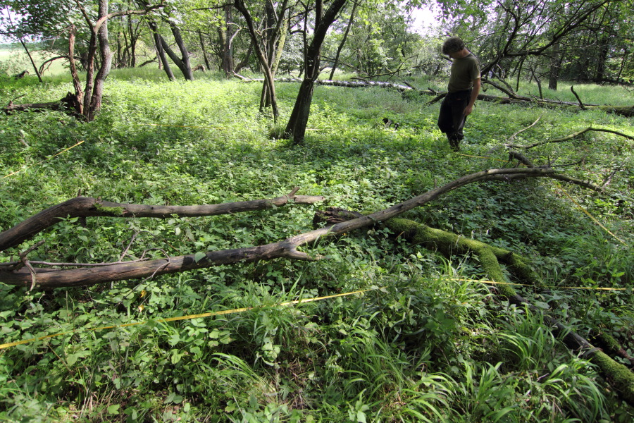 Lokation: Deutschland | Nordrhein-Westfalen | Bergisch Gladbach | Steinacker Kategorien: Dauerquadrat, Datum: 15.08.2011