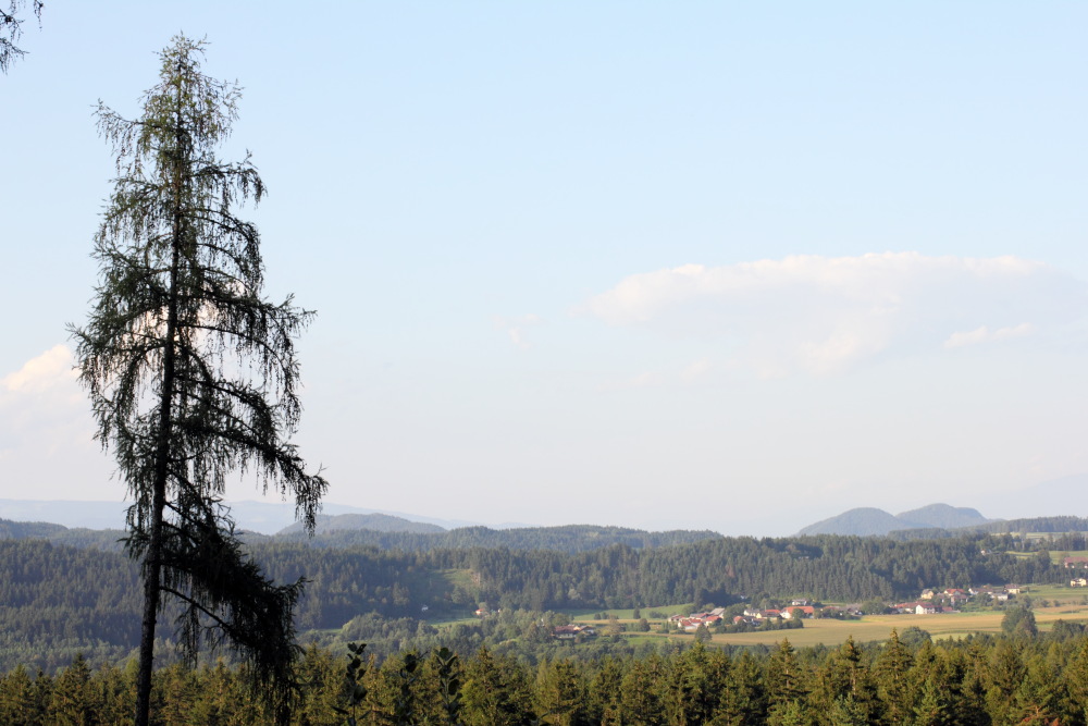 Lokation: Österreich | Kärnten | Wildenstein | Wildenstein Kategorien: Berge, Datum: 20.08.2011