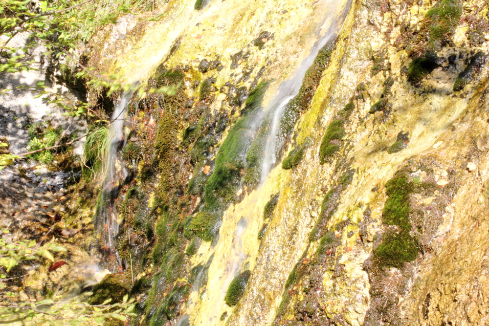 Lokation: Österreich | Kärnten | Ebriach-Obirsko | Ebriach Kategorien: Felsen, Datum: 26.08.2011