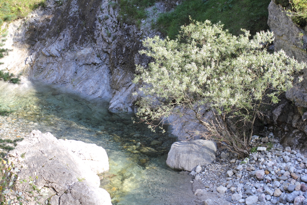 Lokation: Österreich | Kärnten | Ebriach-Obirsko | Ebriach Kategorien: Schlucht, Datum: 26.08.2011