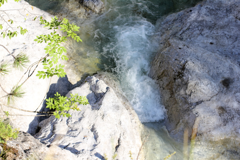 Lokation: Österreich | Kärnten | Ebriach-Obirsko | Ebriach Kategorien: Schlucht, Datum: 26.08.2011