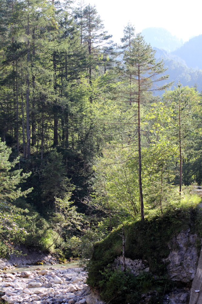 Lokation: Österreich | Kärnten | Trögern-Korte | Trögern Kategorien: Berge, Datum: 26.08.2011