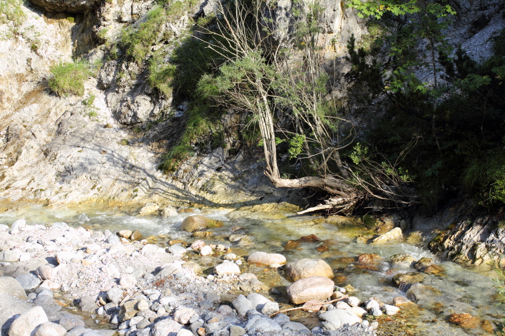 Lokation: Österreich | Kärnten | Trögern-Korte | Trögern Kategorien: Bach, Datum: 26.08.2011