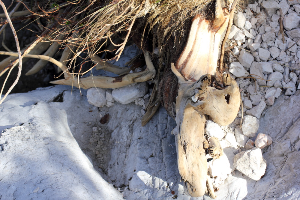 Lokation: Slowenien | Savinjska | Zgornje Jezersko | Logarska Dolina Kategorien: Stilleben, Datum: 28.08.2011