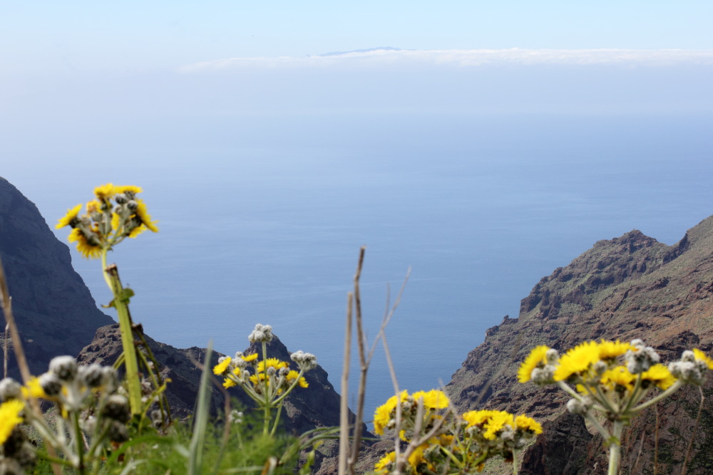 Lokation: Spanien | Canarias | Teno | Teno Kategorien: Meer, Datum: 25.02.2011