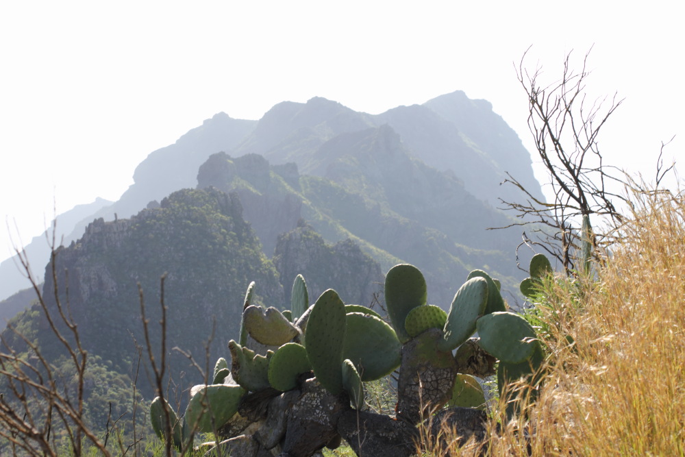Lokation: Spanien | Canarias | Los Carrizales | Los Carrizales Kategorien: Berge, Datum: 25.02.2011