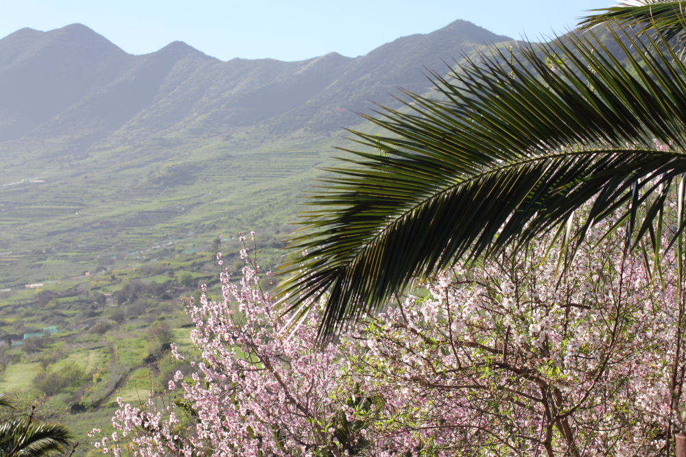 Lokation: Spanien | Canarias | Teno | Teno Kategorien: Berge, Datum: 26.02.2011