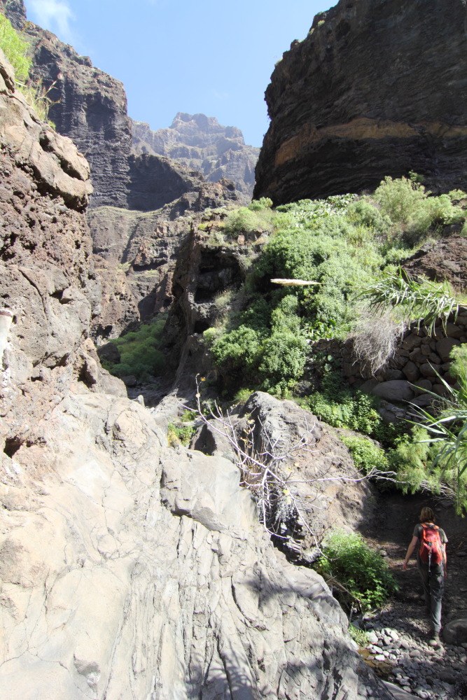Lokation: Spanien | Canarias | Masca | Lomo de Masca Kategorien: Schlucht, Datum: 28.02.2011