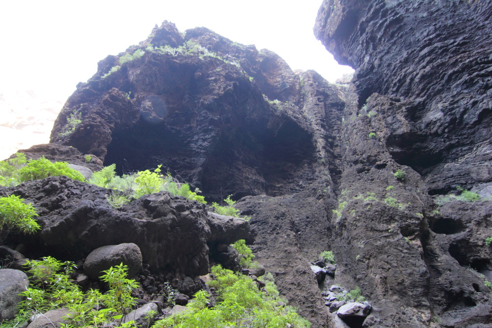 Lokation: Spanien | Canarias | Masca | Lomo de Masca Kategorien: Schlucht, Datum: 28.02.2011