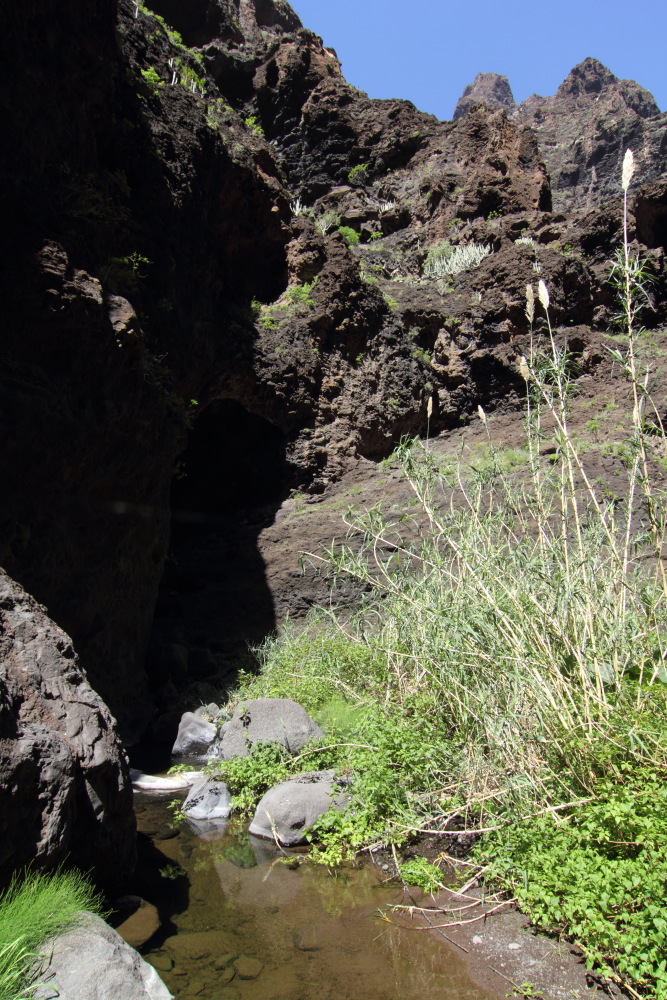 Lokation: Spanien | Canarias | Masca | Masca Kategorien: Schlucht, Datum: 28.02.2011