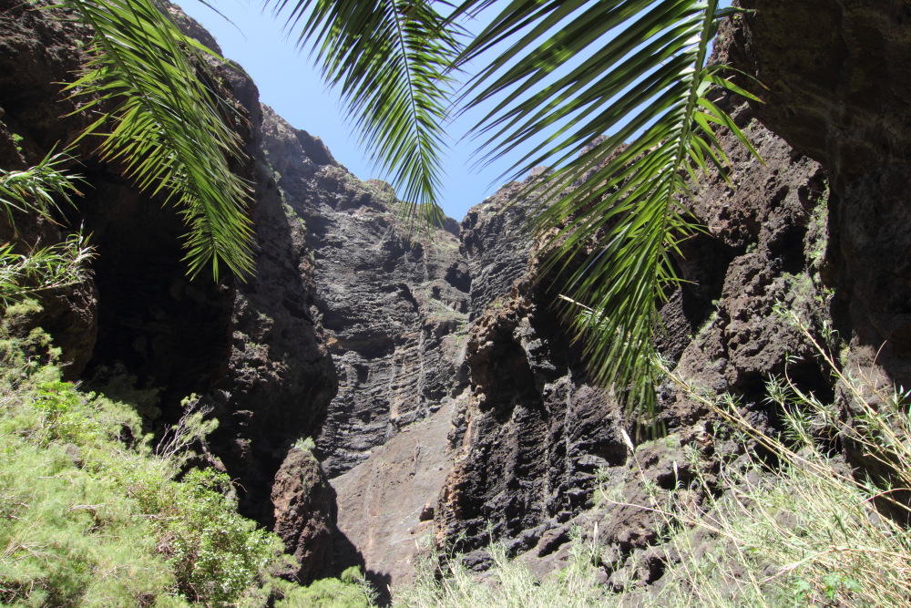 Lokation: Spanien | Canarias | Masca | Masca Kategorien: Schlucht, Datum: 28.02.2011