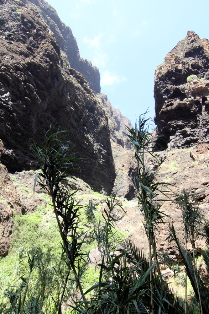 Lokation: Spanien | Canarias | Masca | Masca Kategorien: Schlucht, Datum: 28.02.2011