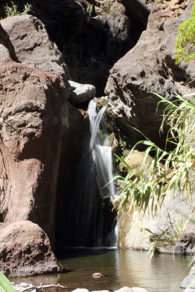 Lokation: Spanien | Canarias | Masca | Masca Kategorien: Bach, Datum: 28.02.2011