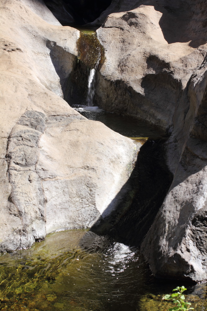 Lokation: Spanien | Canarias | Masca | Masca Kategorien: Bach, Datum: 28.02.2011