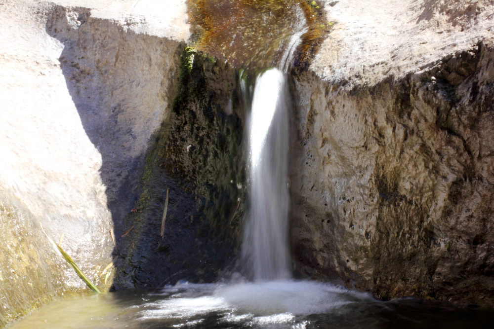 Lokation: Spanien | Canarias | Masca | Masca Kategorien: Bach, Datum: 28.02.2011