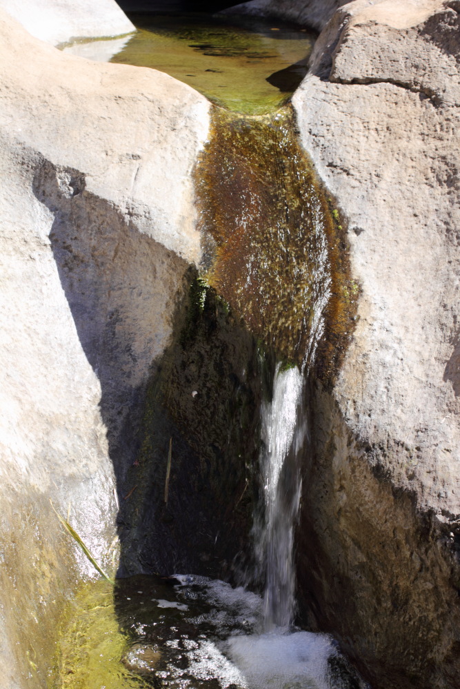 Lokation: Spanien | Canarias | Masca | Masca Kategorien: Bach, Datum: 28.02.2011