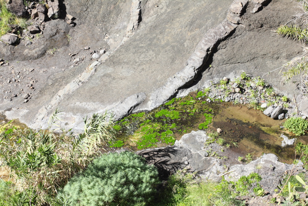 Lokation: Spanien | Canarias | Masca | Masca Kategorien: Bach, Datum: 28.02.2011