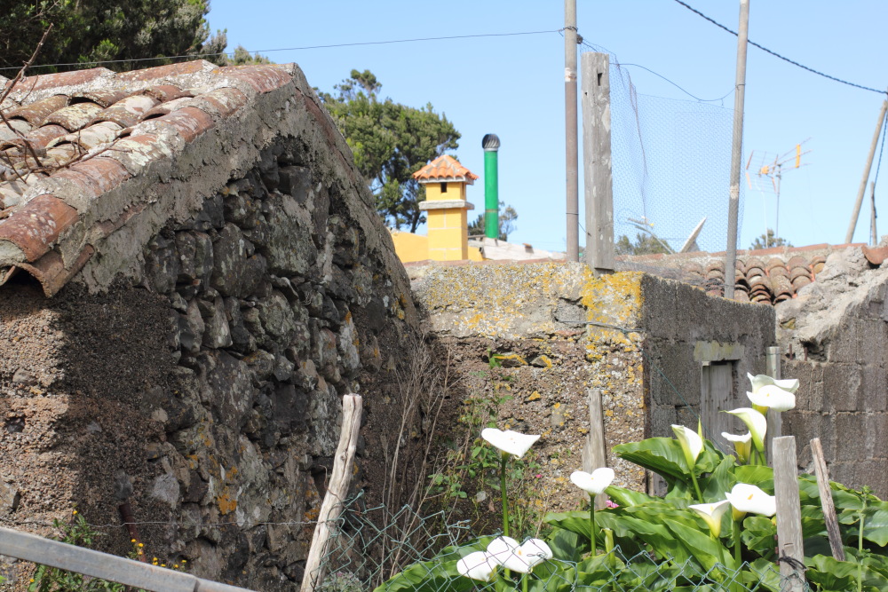 Lokation: Spanien | Canarias | Teno | Teno Kategorien: Dorf, Datum: 01.03.2011