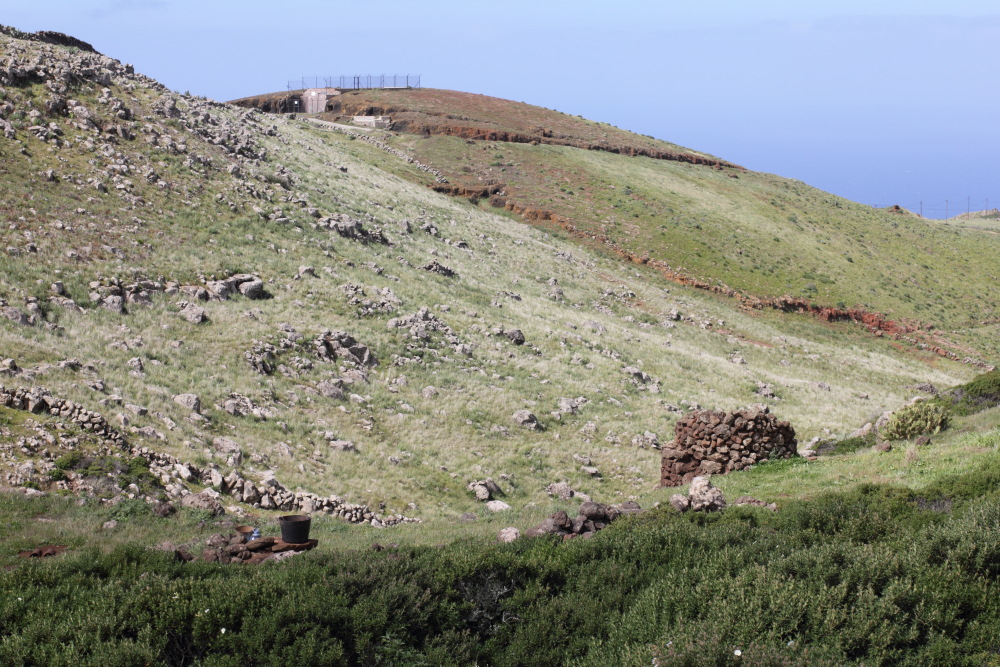 Lokation: Spanien | Canarias | Teno | Buenavista del Norte Kategorien: Landwirtschaft, Küste, Datum: 01.03.2011