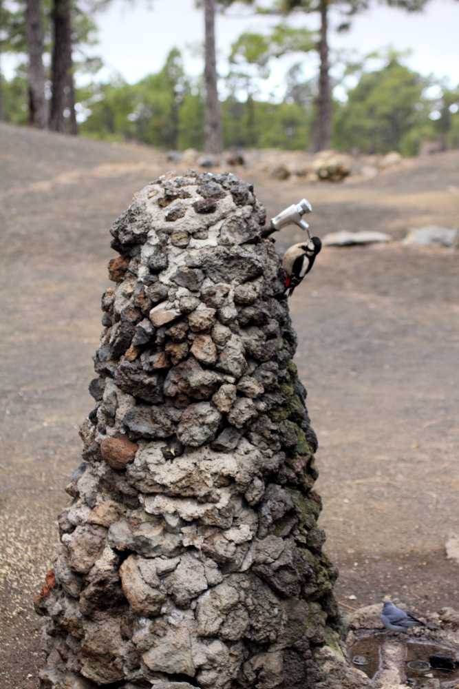 Lokation: Spanien | Canarias | Arguayo | Las Manchas Kategorien: Camping, Datum: 04.03.2011