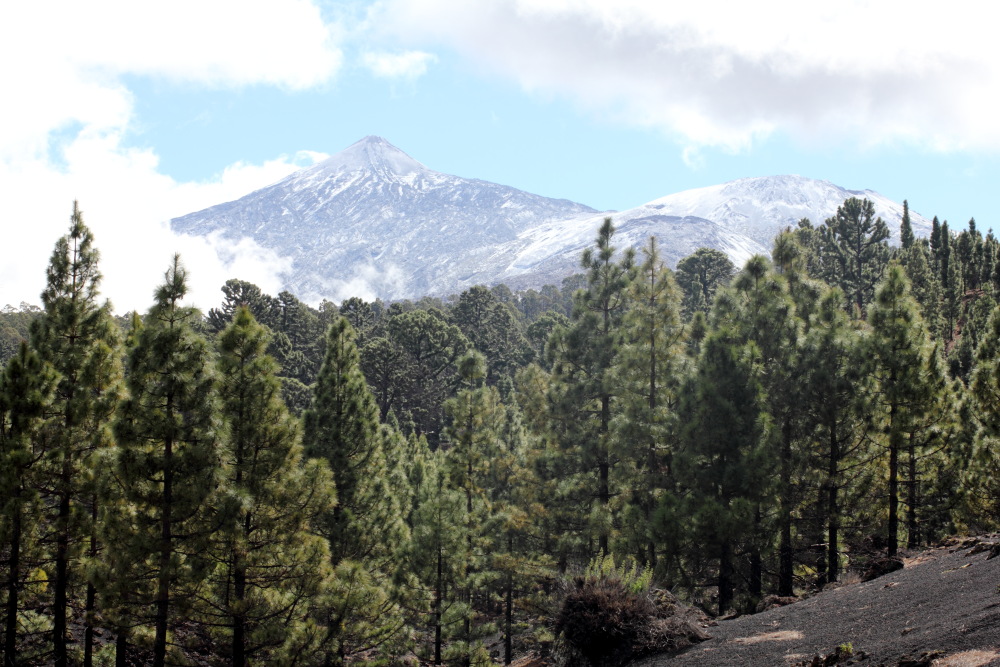 Lokation: Spanien | Canarias | Erjos | Los Llanos Kategorien: Berge, Datum: 05.03.2011