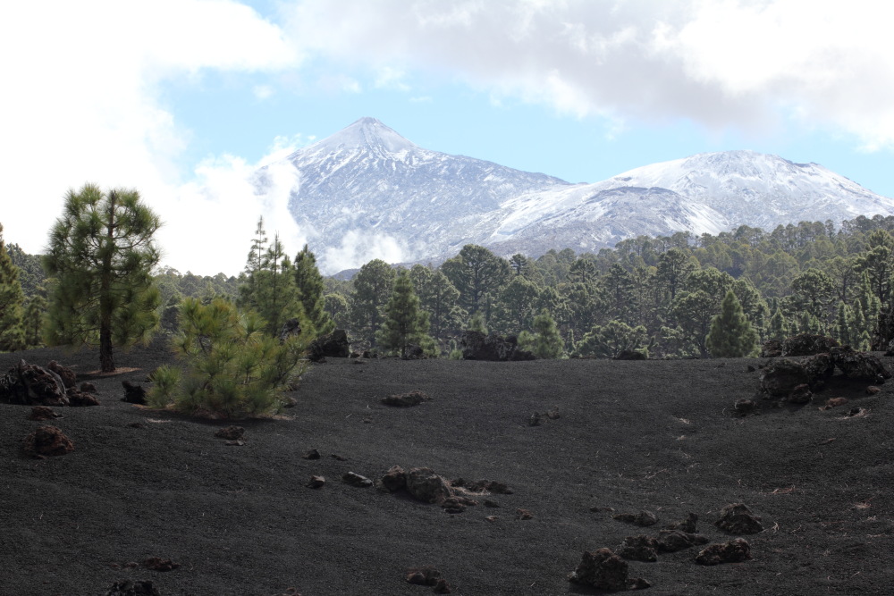Lokation: Spanien | Canarias | Erjos | Los Llanos Kategorien: Berge, Datum: 05.03.2011
