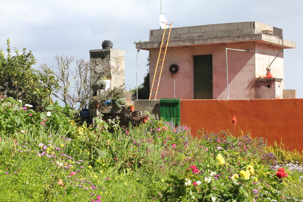 Lokation: Spanien | Canarias | La Montañeta (Garachico) | Cruz Grande Kategorien: Dorf, Datum: 06.03.2011