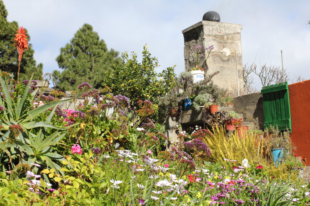 Lokation: Spanien | Canarias | La Montañeta (Garachico) | Cruz Grande Kategorien: Dorf, Datum: 06.03.2011