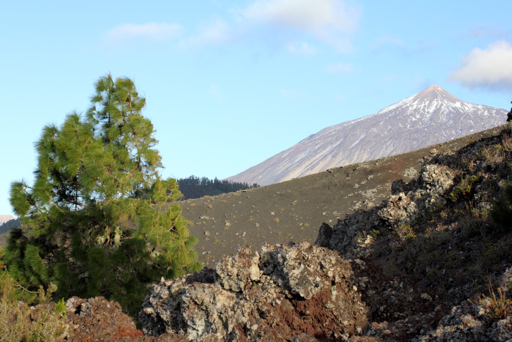 Lokation: Spanien | Canarias | Erjos | Los Llanos Kategorien: Berge, Datum: 06.03.2011
