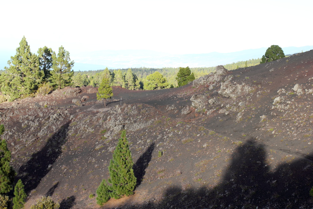 Lokation: Spanien | Canarias | Erjos | Los Llanos Kategorien: Berge, Datum: 06.03.2011