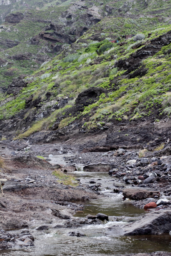 Lokation: Spanien | Canarias | Afur | Taborno Kategorien: Bach, Datum: 07.03.2011