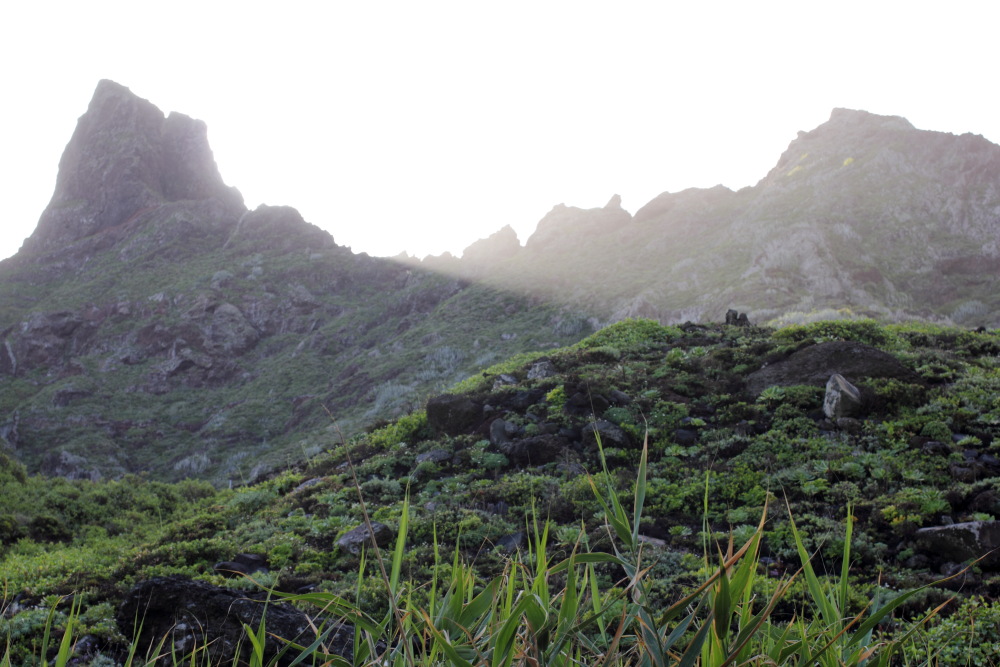 Lokation: Spanien | Canarias | Afur | Taborno Kategorien: Berge, Datum: 08.03.2011