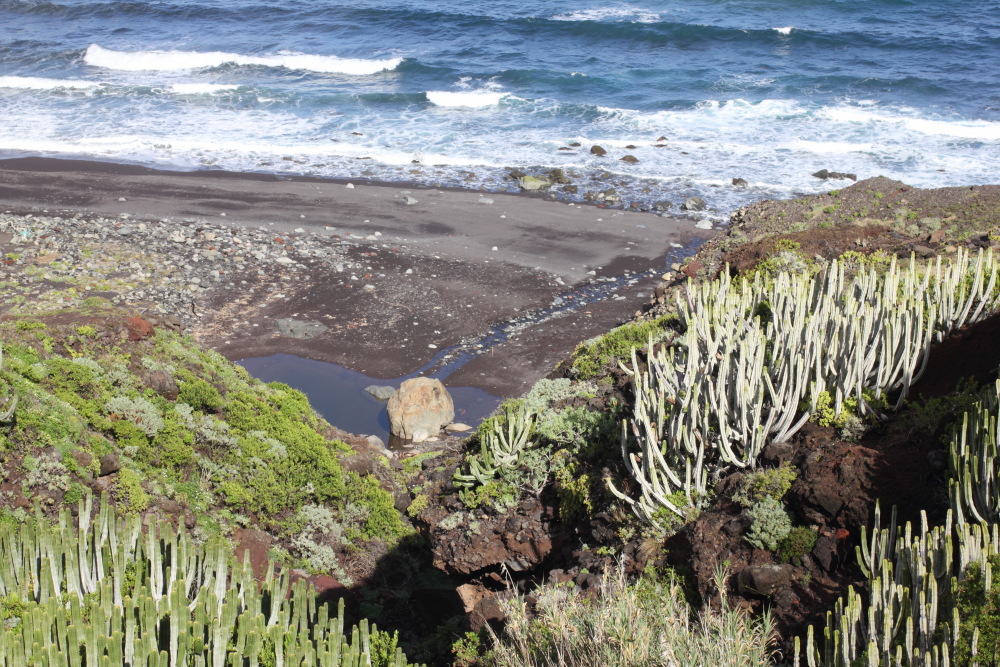 Lokation: Spanien | Canarias | Afur | Taborno Kategorien: Küste, Datum: 08.03.2011