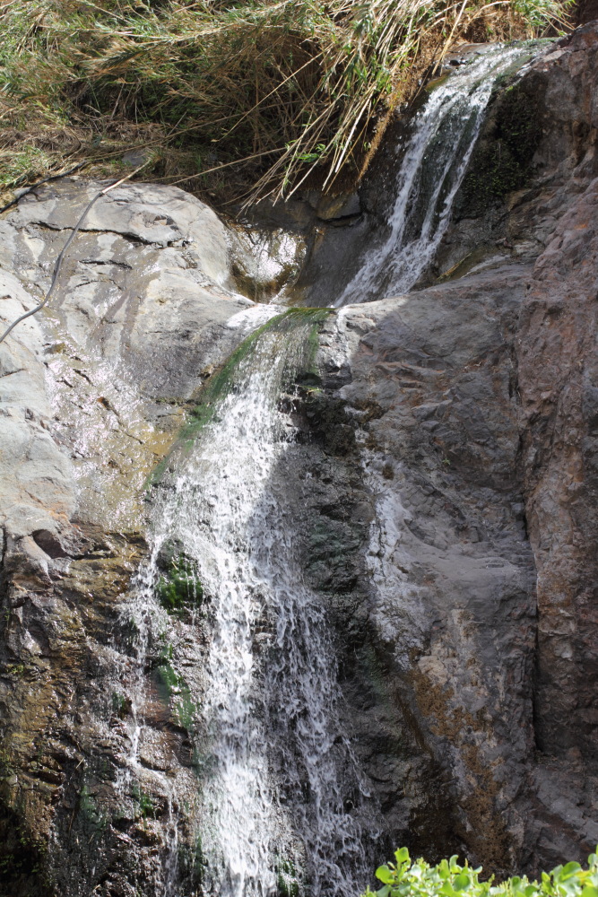 Lokation: Spanien | Canarias | Almaciga | Almáciga Kategorien: Bach, Datum: 08.03.2011