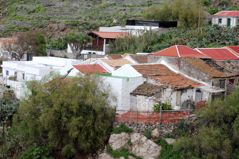 Lokation: Spanien | Canarias | El Draguillo | El Draguillo Kategorien: Dorf, Datum: 08.03.2011