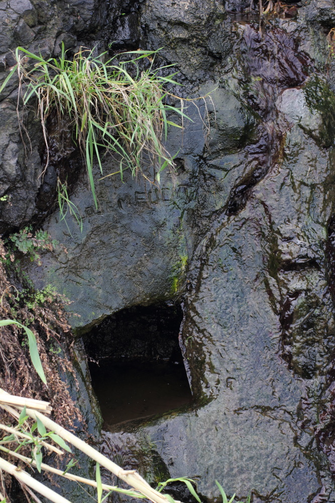 Lokation: Spanien | Canarias | Lomo De Las Bodegas | Las Palmas Kategorien: Felsen, Datum: 09.03.2011