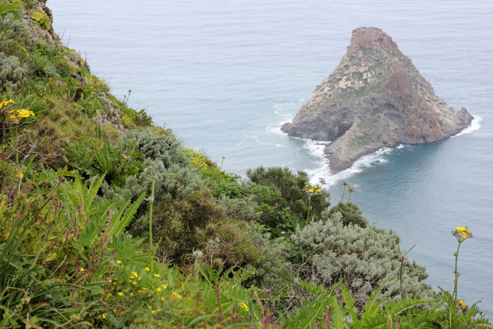 Lokation: Spanien | Canarias | Lomo De Las Bodegas | Las Palmas Kategorien: Küste, Datum: 09.03.2011