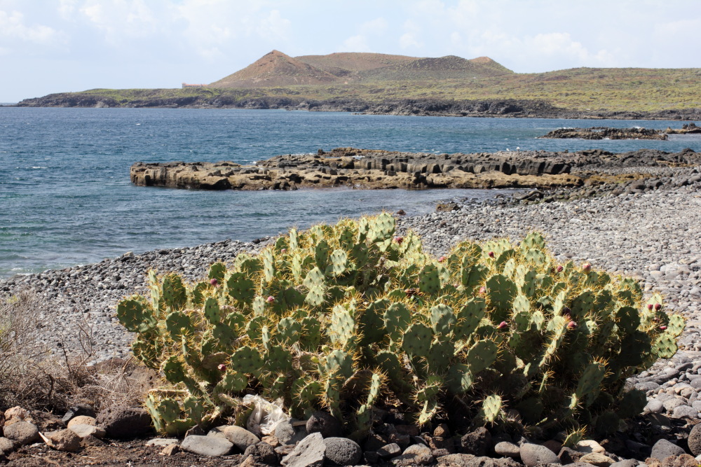 Lokation: Spanien | Canarias | Costa Del Silencio | Golf del Sur Kategorien: Küste, Datum: 11.03.2011