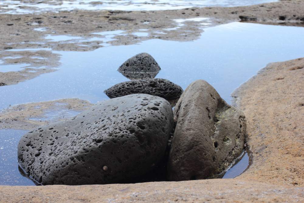 Lokation: Spanien | Canarias | Las Galletas | Costa del Silencio Kategorien: Felsen, Datum: 11.03.2011