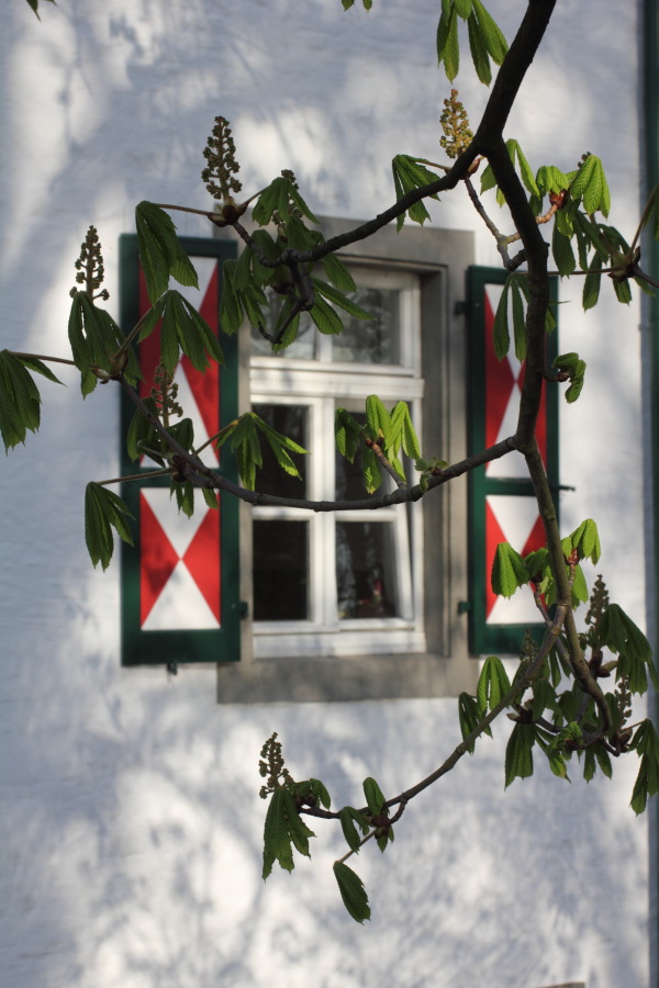 Lokation: Deutschland | Nordrhein-Westfalen | Köln | Holweide Kategorien: Anwesen, Datum: 28.03.2012