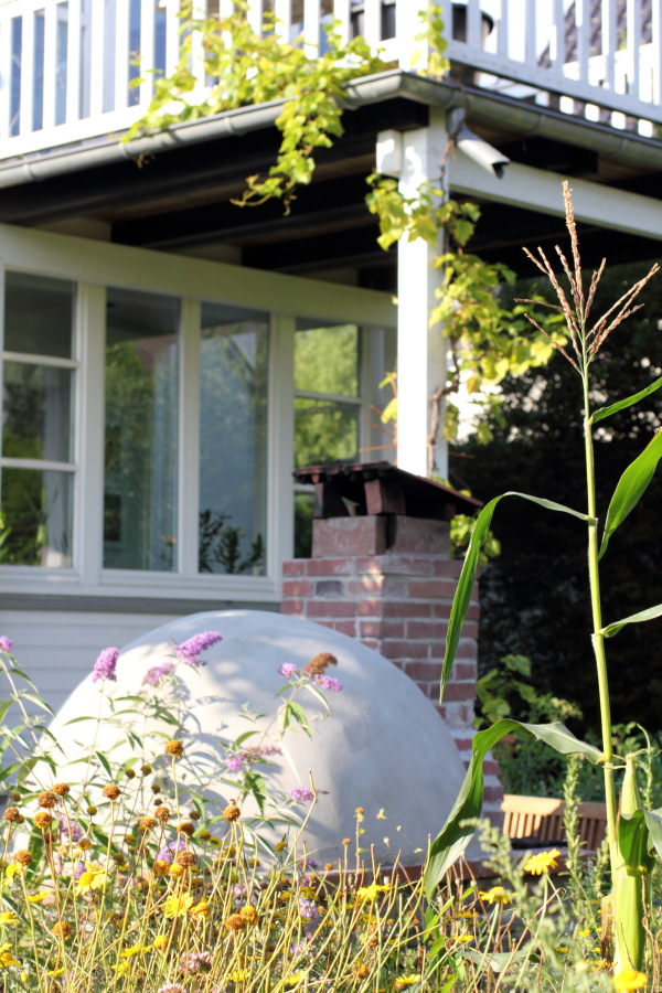 Lokation: Deutschland | Nordrhein-Westfalen | Bergisch Gladbach | Rodemich Kategorien: Permakultur, Datum: 10.08.2012