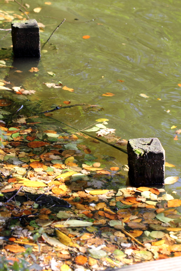 Lokation: Deutschland | Nordrhein-Westfalen | Bergisch Gladbach | Lückerath Kategorien: Datum: 11.10.2012