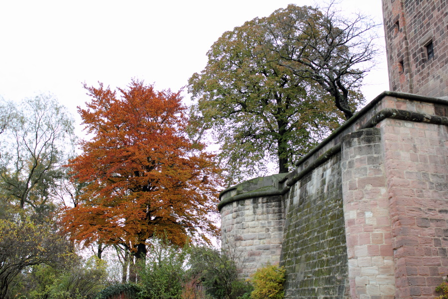 Lokation: Deutschland | Bayern | Nürnberg | Nürnberg Kategorien: Anwesen, Datum: 04.11.2012