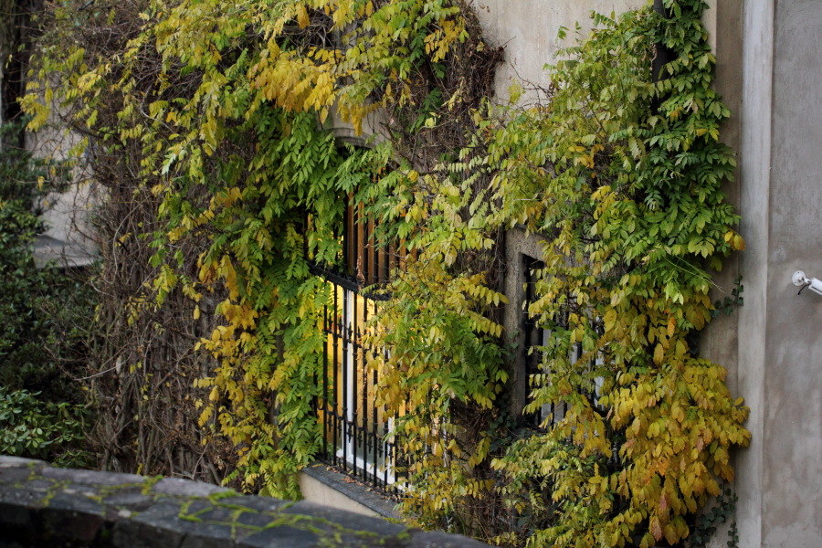 Lokation: Deutschland | Nordrhein-Westfalen | Bergisch Gladbach | Kaltenbroich Kategorien: Anwesen, Datum: 01.12.2012