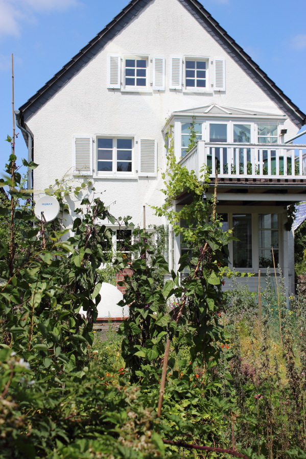 Lokation: Deutschland | Nordrhein-Westfalen | Bergisch Gladbach | Rodemich Kategorien: Permakultur, Datum: 20.07.2013