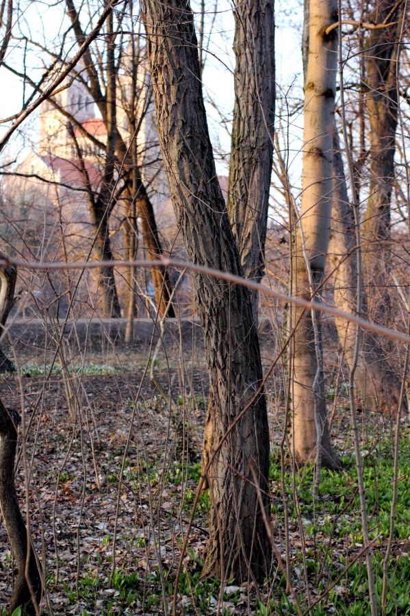 Lokation: Deutschland | Bayern | München | Au Kategorien: Datum: 21.03.2013