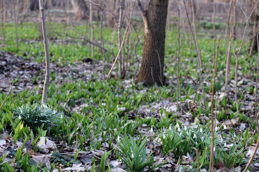 Lokation: Deutschland | Bayern | München | Au Kategorien: Datum: 21.03.2013